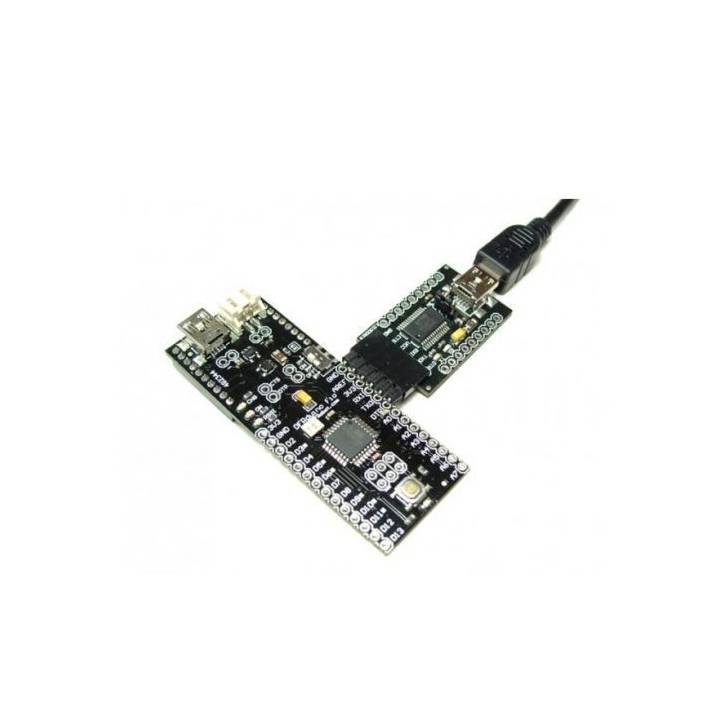 Module USB-Série FTDI Basic Breakout 5V/3.3V