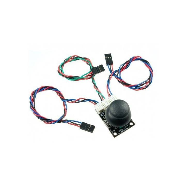 Module Joystick