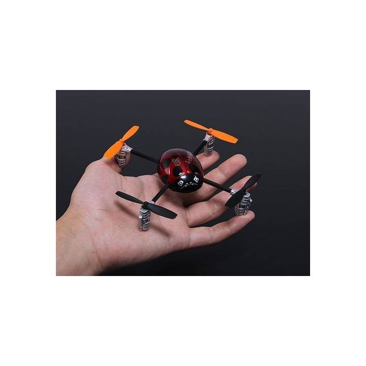 Mini quadricoptère Ladybug avec radiocommande