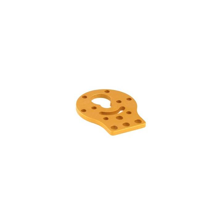 DC Motor-37 Bracket-Blue (2-Pack)