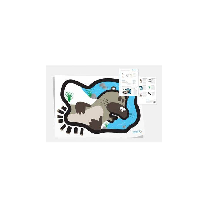 Kit de découverte Loutre pour Thymio