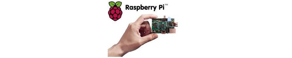 Cartes Raspberry Pi